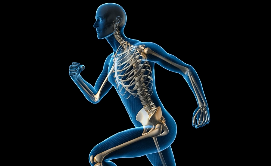 Motion Analysis, Motion Analysis in medworld clinic