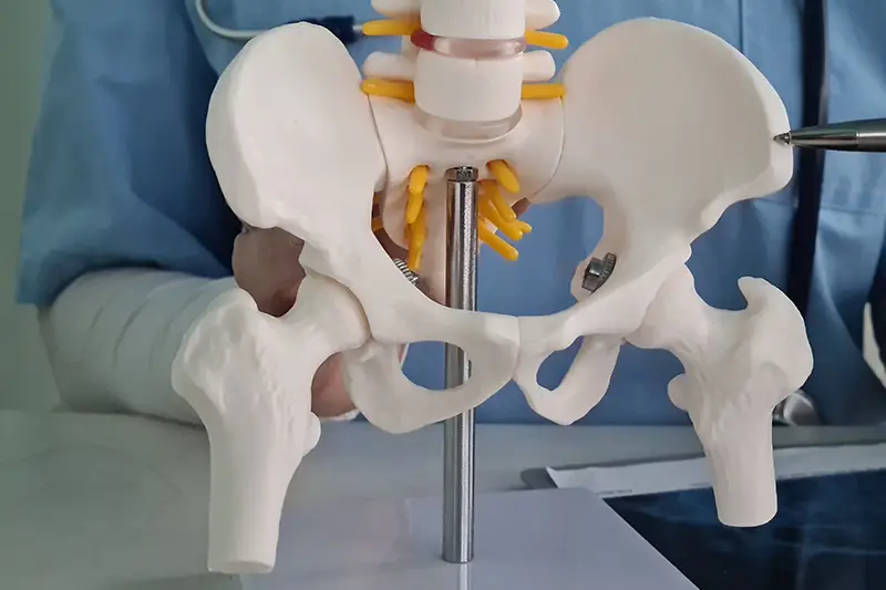 Hip Replacement Rehabilitation