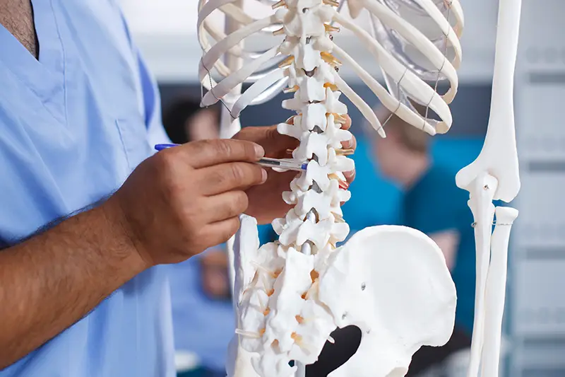 Spinal Cord Injury Rehabilitation