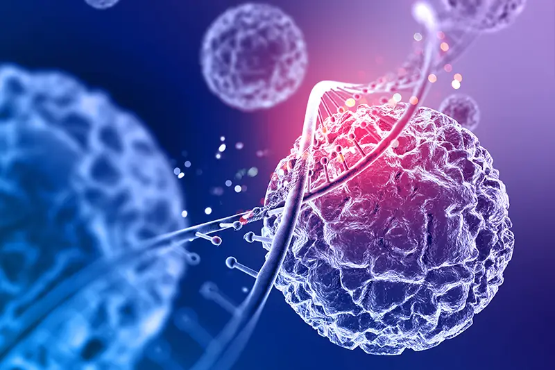 Stem Cell Therapy (Stromal Vascular Fraction – SVF)
